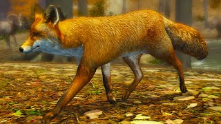 Симулятор Маленькой Лисы #1 Лисенок Кид против Босса Енота в Ultimate Fox Simulator 2 на пурумчата