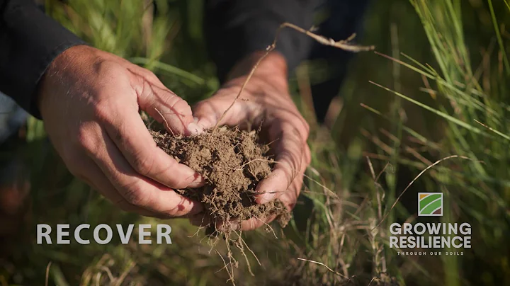 Remember the R's: Recover (Bart Carmichael)