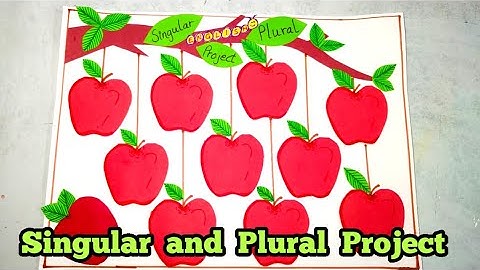 Singular and Plural TLM ||English Project for school || English grammar project
