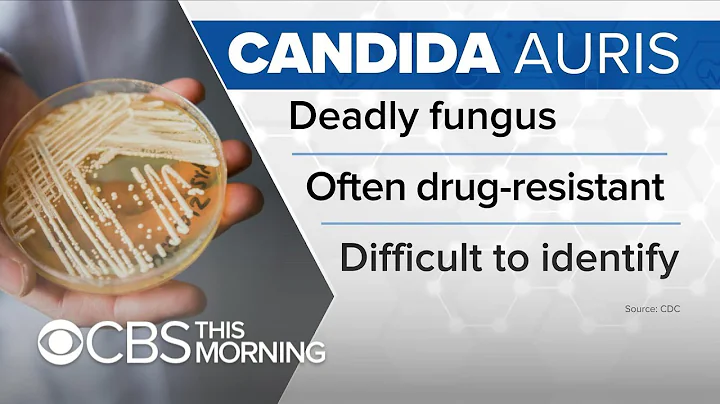 How to protect yourself from the deadly, drug-resi...