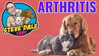 Dog and Cat Arthritis EXPLAINED + Librela & Solensia