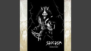 Sarcasm - Love at First Sight