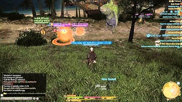 Final Fantasy XIV ARR - Gladiator Gameplay