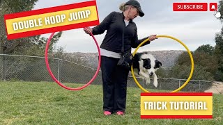 Double Hoop Circle: Dog Trick Tutorial - DMWYD by Pam's Dog Academy 109 views 3 months ago 2 minutes, 27 seconds