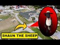 Drone catches cursed shaun the sheep at haunted farm  shaun the sheep caught on drone