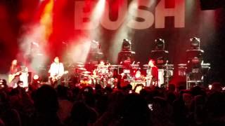 Bush Just Like My Other Sins &amp; Machinehead