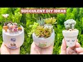 7 Succulent DIY Ideas | 7 Ý tưởng trang trí sen đá | 多肉植物| 다육이들 | Suculentas