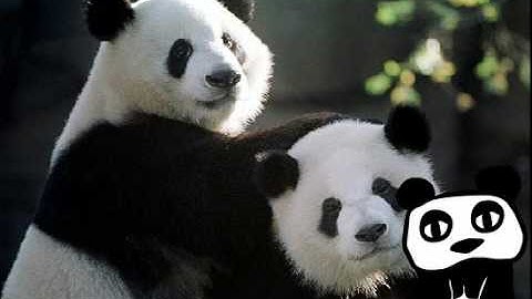 Pandas: I don