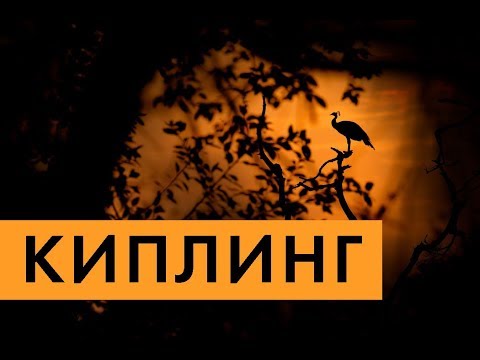 Загадка Киплинга. Обсуждение "Книги джунглей"