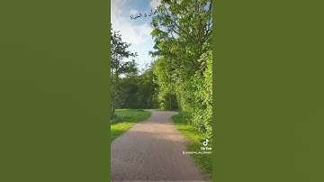 القرآن و الحياة - سورة الضحى بصوت الشيخ سعود الشريم