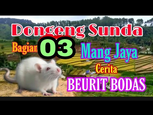Dongeng Sunda Mang Jaya Cerita BEURIT BODAS bagian ke 03 class=