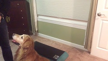 KPA PRACTICE 10 part chain