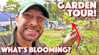 Full Orchard And Garden Tour! What&#39;s Growing, Budding, And Fruiting Right Now In Zone 8b?