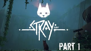 Every cat has its tale - Stray #1 