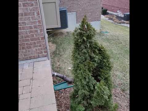 85 Rockview Ct, Clearcreek Twp, OH home video tour