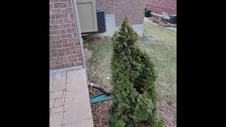 85 Rockview Ct video tour