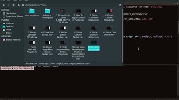 FFmpeg Video Decoding and Playback Tutorial