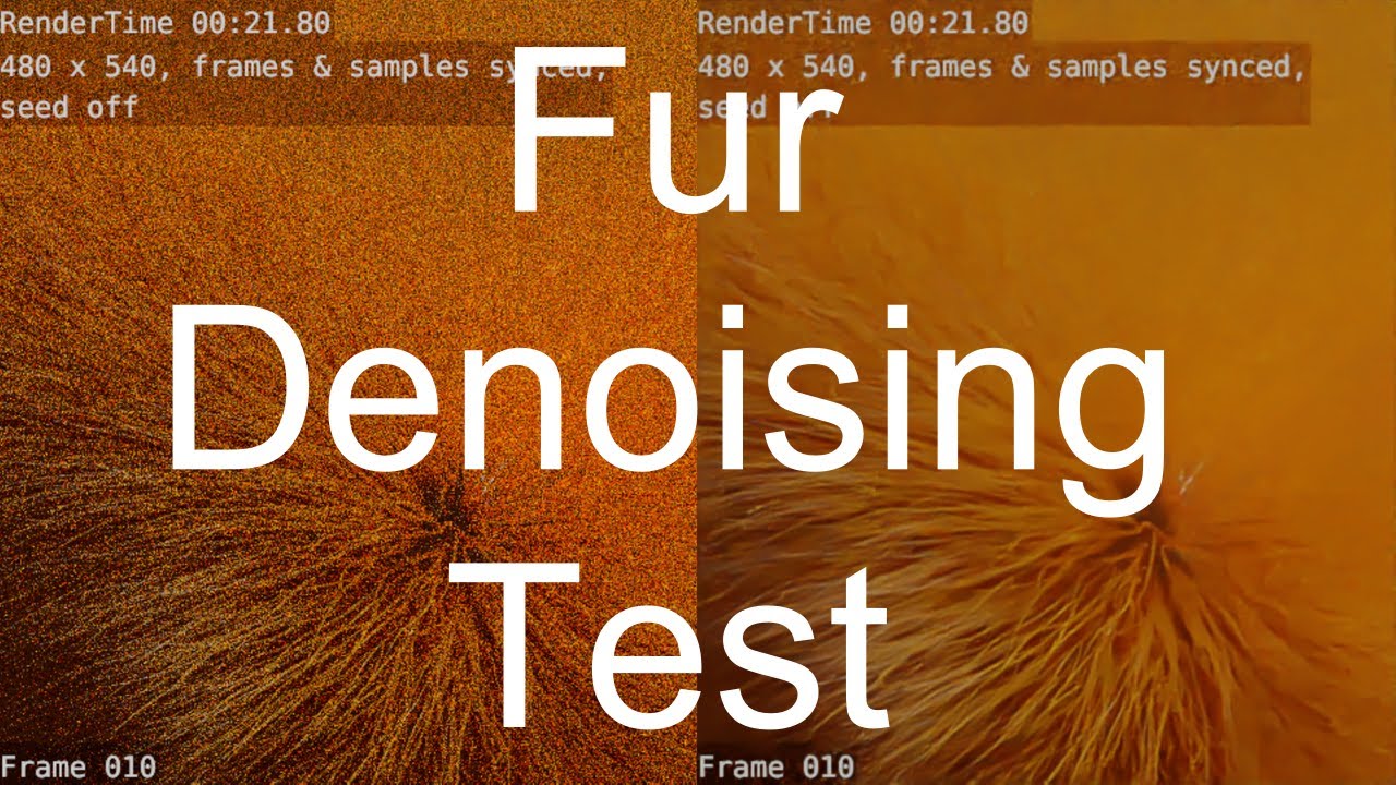 Blender fluffy fur denoising test in Cycles! Blender Denoiser + Intel