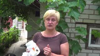 Мой Отзыв о Ферментационной Подстилке Скотный Двор для птицы Мой Отзыв о Ферментационной Подстилке Скотный Двор для птицы