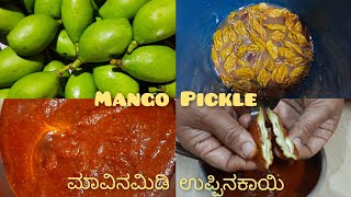 Traditional Tender Mango Pickle Making|Mavinamidi Uppinakayi|Pickle recipe in kannada|CC 193