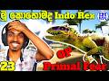 Omega Indominus Rex දැන් OP! Bossලා ඉවරයි | Ark Survival Primal Fear Highlights | DR MaxWave Gaming
