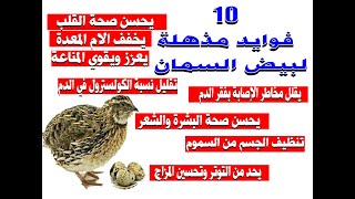 فوائد بيض السمان - 10 فوائد مذهله لبيض السمان- رغم صغر حجمه بيض السمان فوائد لا تحصى