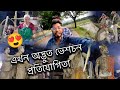        assamese vlog