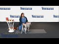 Fear Free Demonstration: Techniques & Props Fear Free Demonstration: Techniques & Props