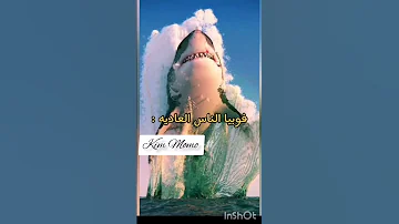 فوبيا الي اعاني منها 