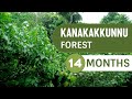 Kanakakkunnu Miyawaki Forest After 14 Months | Fast-growing Man-made Forest | Crowd Foresting