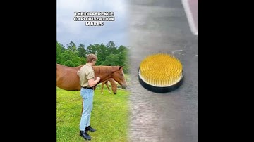 The Difference Capitalization Makes