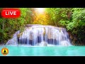 🔴 Relaxing Music 24/7, Stress Relief Music, Soothing Music for Relaxing, Waterfall Sounds, Sleeping