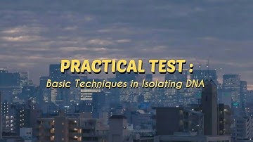 practical test : basic techniques in isolating DNA