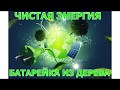 Чистая энергия БАТАРЕЙКА ИЗ ДЕРЕВА