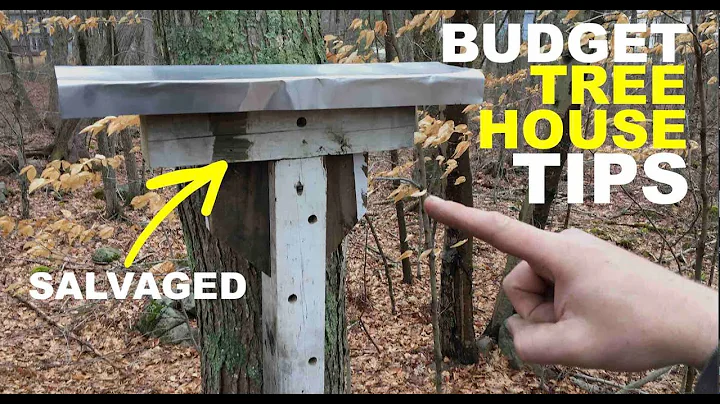 Build Your Tree House Inexpensively and Simply- EASY TIPS