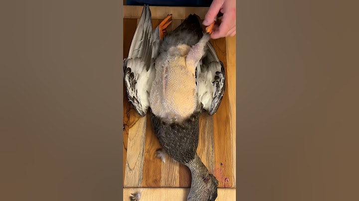 Wild Duck Catch & Cook!  #healthy #food #love #shorts #explore