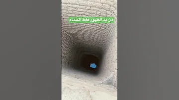 ماهو سبب محبه الحمام للقليب 