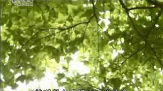 20100623-2《靜思晨語。慈濟宗門》淺述五分法身