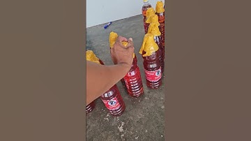 Mắm nhĩ cá cơm làm thủ công 120k/1lit đặc sản Phan Rang lh 0795050333