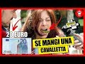 20 Euro se Mangi una Cavalletta - IN CAMBIO DI SOLDI EP.4 - theShow