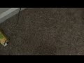 Just my first video