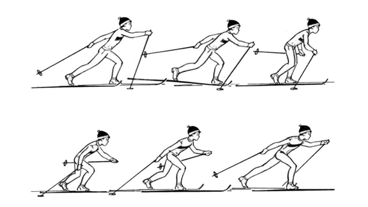 Передвижение одношажным ходом. Попеременный двухшажный и одновременный двухшажный ходы.. Попеременный двухшажный ход техника. Лыжные ходы попеременный двухшажный ход классика. Техника лыжных ходов попеременный ход.