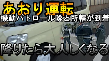 煽り運転 スカッと