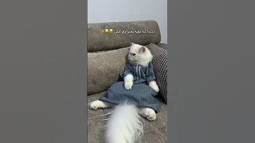 دشداشه نيليه بصراوي ولبس 