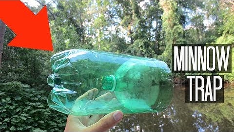 Minnow Trapping!! Homemade 2-Liter Trap! (Surprise Catch!)