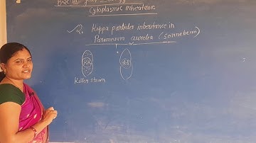 Cytoplasmic Inheritance -2 kappa particles in paramecium