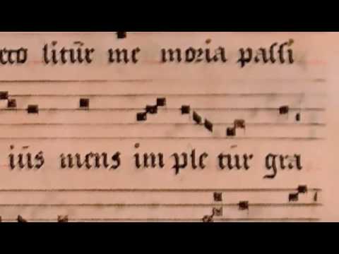 O sacrum convivium (Gregorian Chant, Chant Group P...