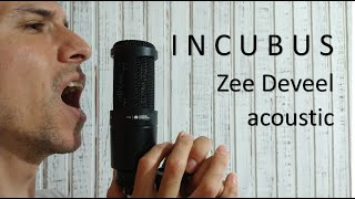 Incubus - Zee Deveel acoustic (cover)