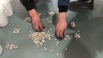 RQ-DSL-8B capsule counting machine