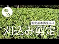 【剪定基本講座No.4】刈込み剪定【庭木の剪定】